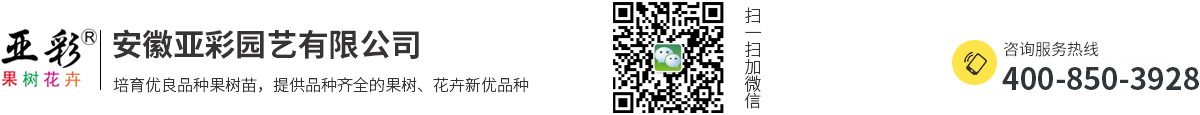 安徽亚彩园艺有限公司